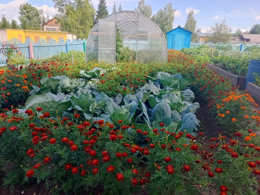 Изображения.
